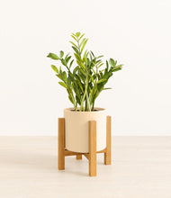 Load image into Gallery viewer, Cream stand:light