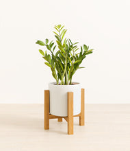 Load image into Gallery viewer, White stand:light