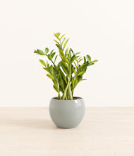 Load image into Gallery viewer, Deep Ocean*****Profile