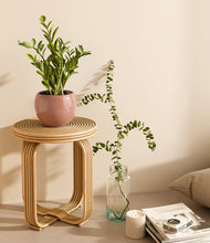 Load image into Gallery viewer, Calm Rose