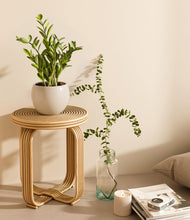 Load image into Gallery viewer, Shiny EggWhite