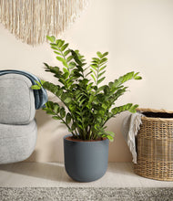 Load image into Gallery viewer, Iron Gray