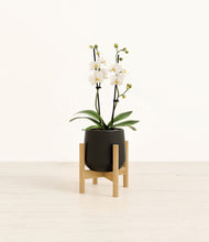 Load image into Gallery viewer, Black stand:bamboo