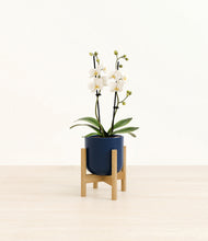 Load image into Gallery viewer, Twilight Blue stand:bamboo