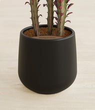 Lade das Bild in den Galerie-Viewer, Black stand:all