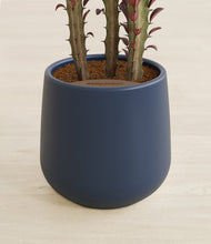 Lade das Bild in den Galerie-Viewer, Deep Navy stand:all
