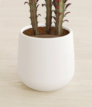 Lade das Bild in den Galerie-Viewer, White stand:all