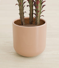 Lade das Bild in den Galerie-Viewer, Sandy Pink stand:all