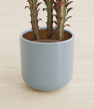 Lade das Bild in den Galerie-Viewer, Misty Blue stand:all