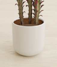 Lade das Bild in den Galerie-Viewer, Cotton White stand:all