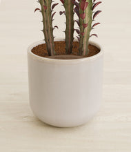 Lade das Bild in den Galerie-Viewer, Snowdrift White stand:all