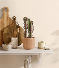 Lade das Bild in den Galerie-Viewer, Striped Peach Pink