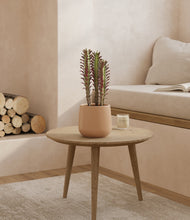 Lade das Bild in den Galerie-Viewer, Gentle Pink