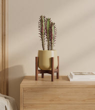 Lade das Bild in den Galerie-Viewer, Almond Green stand:walnut
