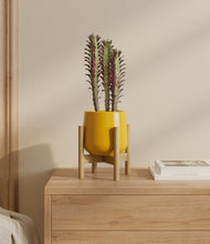 Lade das Bild in den Galerie-Viewer, Mustard stand:bamboo