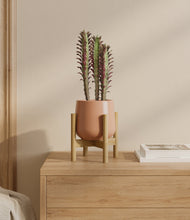 Lade das Bild in den Galerie-Viewer, Calm Rose stand:bamboo