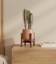 Lade das Bild in den Galerie-Viewer, Calm Rose stand:walnut