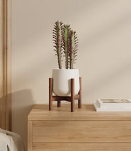 Lade das Bild in den Galerie-Viewer, White stand:walnut