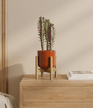 Lade das Bild in den Galerie-Viewer, Glossy Red stand:bamboo