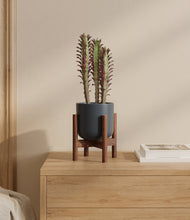 Lade das Bild in den Galerie-Viewer, Iron Gray stand:bamboo