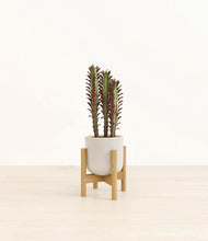 Lade das Bild in den Galerie-Viewer, Snowdrift White stand:bamboo