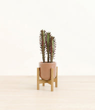 Lade das Bild in den Galerie-Viewer, Hammered Peach Pink stand:bamboo