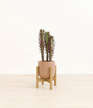 Lade das Bild in den Galerie-Viewer, Striped Peach Pink stand:bamboo