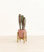 Lade das Bild in den Galerie-Viewer, Striped Rose Pink stand:bamboo