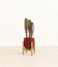Lade das Bild in den Galerie-Viewer, Striped Cherry Red stand:bamboo