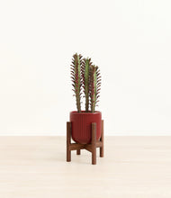 Lade das Bild in den Galerie-Viewer, Striped Cherry Red stand:walnut