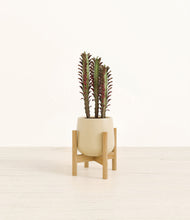 Lade das Bild in den Galerie-Viewer, Almond Green stand:bamboo