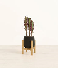 Lade das Bild in den Galerie-Viewer, Black stand:bamboo