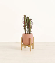Lade das Bild in den Galerie-Viewer, Calm Rose stand:bamboo