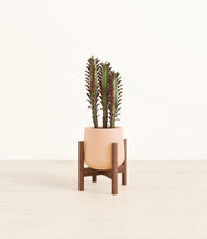 Lade das Bild in den Galerie-Viewer, Gentle Pink stand:walnut