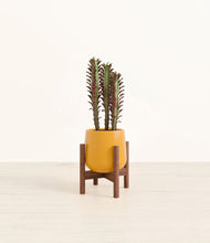 Lade das Bild in den Galerie-Viewer, Mustard stand:walnut