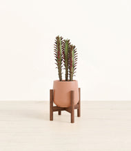 Lade das Bild in den Galerie-Viewer, Calm Rose stand:walnut