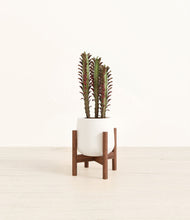 Lade das Bild in den Galerie-Viewer, White stand:walnut