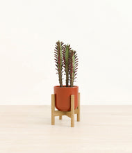 Lade das Bild in den Galerie-Viewer, Glossy Red stand:bamboo