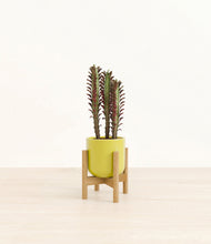 Lade das Bild in den Galerie-Viewer, Key Lime Yellow stand:bamboo