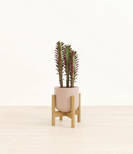 Lade das Bild in den Galerie-Viewer, Sandy Pink stand:bamboo