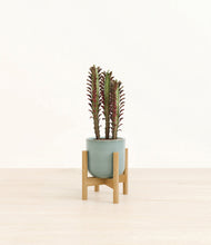 Lade das Bild in den Galerie-Viewer, Reactive Aqua stand:bamboo