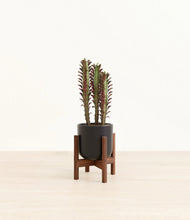 Lade das Bild in den Galerie-Viewer, Stone Black stand:walnut