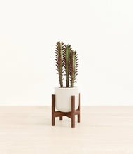 Lade das Bild in den Galerie-Viewer, Cotton White stand:walnut