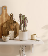 Lade das Bild in den Galerie-Viewer, Snowdrift White
