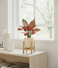 Load image into Gallery viewer, Almond Green stand:bamboo