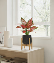 Load image into Gallery viewer, Black stand:bamboo