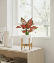 Load image into Gallery viewer, White stand:bamboo