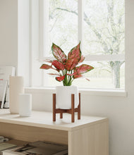 Load image into Gallery viewer, White stand:walnut