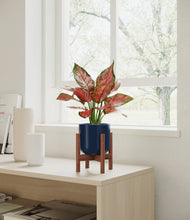 Load image into Gallery viewer, Twilight Blue stand:walnut