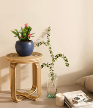 Load image into Gallery viewer, -